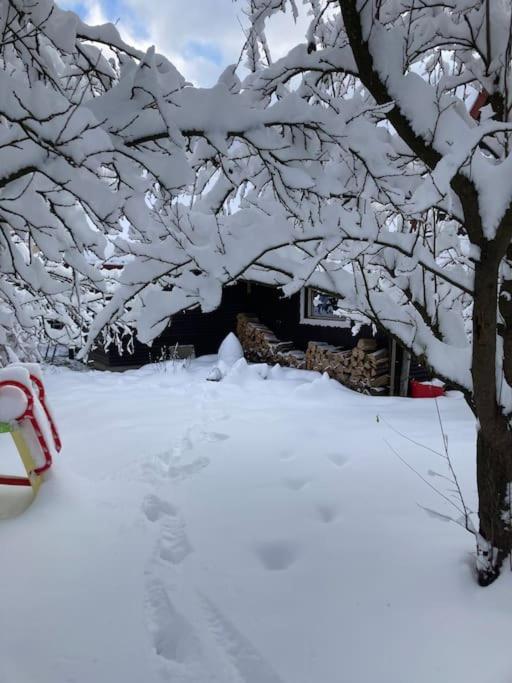 Utulna Chaloupka Na Valassku Valašská Bystřice Extérieur photo